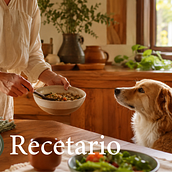 CREACIÓN IDENTIDAD GRÁFICA - ALIMENTO PREMIUM PARA PERRO. Projekt z dziedziny Design użytkownika Diego de la Rosa - 01.09.2026