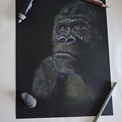 Gorilla. Un progetto di Illustrazione naturalistica e Disegno con matite colorate di Alberto Sartori - 12.09.2026