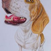 PROYECTO PERRITO ANDY. Traditional illustration, and Drawing project by Enrique Medellín Rojas - 09.14.2026