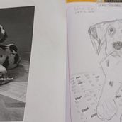 Perro. Un progetto di Illustrazione tradizionale, Disegno a matita, Disegno e Illustrazione naturalistica di lidice1220 - 29.09.2026