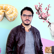 Paul Fuentes