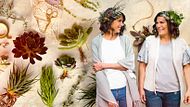 Design and Creation of Botanical Compositions. Craft course by Compañía Botánica