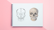 Cours guidé : Maîtrisez le dessin anatomique avec un seul crayon. Un cours de Illustration de Ella Nitters