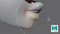 Course 4 – Correct Topology for Animation.  course by Miguel Miranda