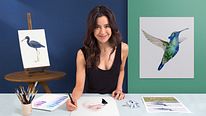Naturalistyczne ilustracje ptaków techniką akwarelową. Kurs z kategorii Ilustracja użytkownika Antonia Reyes Montealegre
