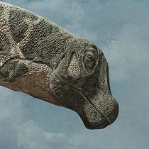 Cabeza de dinosaurio en detalle 3D