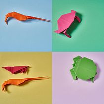 Mi Proyecto del curso Fotografía de Producto