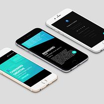 Chaparro Creative | Erstellen einer professionellen Website mit WordPress