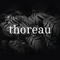 Thoreau-Typ