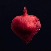 Mi Proyecto del curso: Fotografía como medio expresivo y artístico
