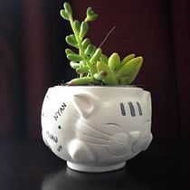 My Course Project: Creative Ceramics.