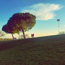 Mi Proyecto del curso: Introducción a la composición fotográfica minimalista