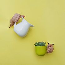 Mi Proyecto del curso: Fotografía creativa para redes sociales