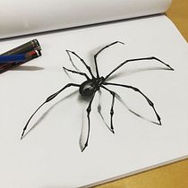Araña 3D en tinta y carboncillo