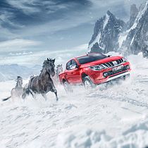 Furia de caballos en la nieve