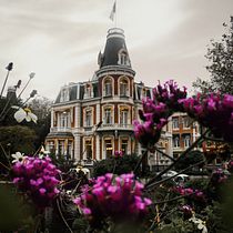 Mi Proyecto del curso: Composición y edición fotográfica para Instagram
