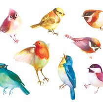My project in Experimental Watercolor Techniques for Beginners course