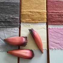 Mi Proyecto del curso: Teñido textil con pigmentos naturales