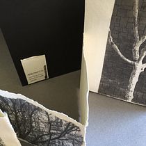 Arboretum — grabado en papel desgarrado