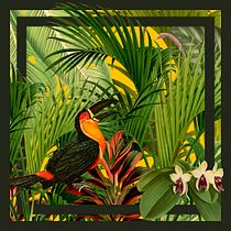 Tucán y orquídeas en selva gráfica