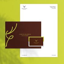 Mi Proyecto del curso: Diseño de logotipos: síntesis gráfica y minimalismo