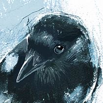 My project in Illustrating Nature: A Creative Exploration course