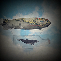 My project in Animated Collage with Adobe After Effects course