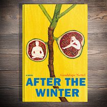 Book cover; After the winter