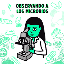 Observando microbios con microscopio