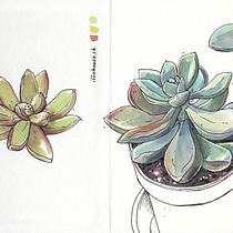 My project in Botanical Sketchbooking: A Meditative Approach course