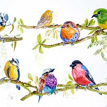 « Conférences matinales ». Mon projet de cours : Aquarelle artistique pour illustrations d'oiseaux