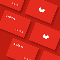 My project in Business Card Design course