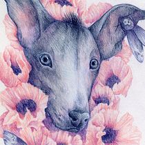 My project in Surrealist Illustration Inspired by Nature course