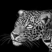 Jaguar en scratchboard blanco y negro