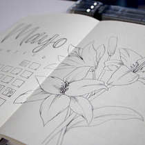 Mi Proyecto del curso: Introducción al bullet journal ilustrado