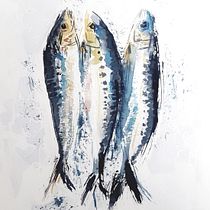 My project in Illustrating Nature: A Creative Exploration course
