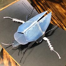 Mi Proyecto del curso: Libros pop-up interactivos: crea mundos de papel