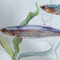 Mi Proyecto del curso: Ilustración de universos marinos en acuarela
