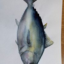 Mi Proyecto del curso: Ilustración de universos marinos en acuarela