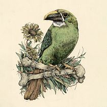Naturalistic illustration with ballpoint pen