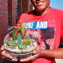 Los Cactus