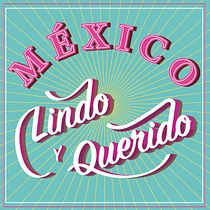 Mi Proyecto del curso: Introducción al diseño con letras