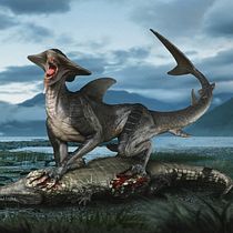 Xharkguar