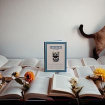 Mi Proyecto del curso: Fotografía para Instagram: posiciona tu marca
