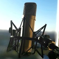 Jesús Alvarez: Introducción a la locución