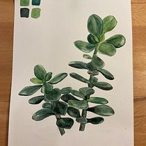 Mein Kursprojekt: Botanisches Aquarell: illustriere die Anatomie der Blumen