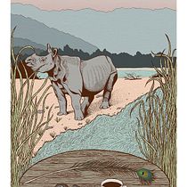 My project in Observational Drawing: Illustrate with a Fresh Perspective course