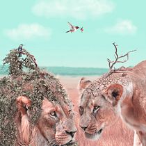 Mi Proyecto del curso: Fotomontaje e ilustraciones fantásticas en Photoshop