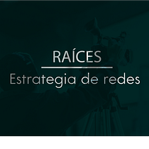 Mi Proyecto del curso: Estrategia para redes sociales: crea, gestiona y lanza campañas