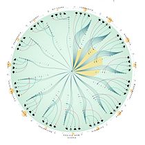 Endemic species by country
